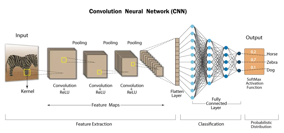 Convolutional-Neural-Network.webp